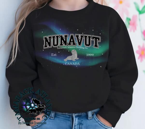 Custom Provincial|Borealis|Toddler Crewneck - Image 3