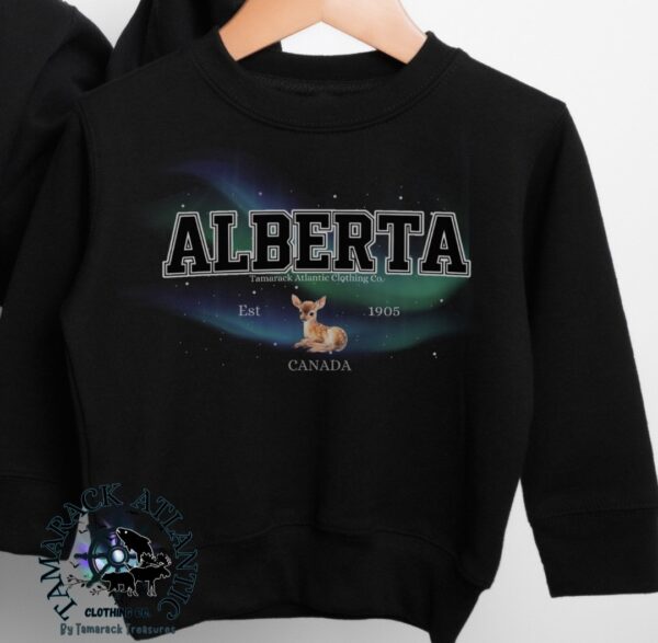 Custom Provincial|Borealis|Toddler Crewneck - Image 12