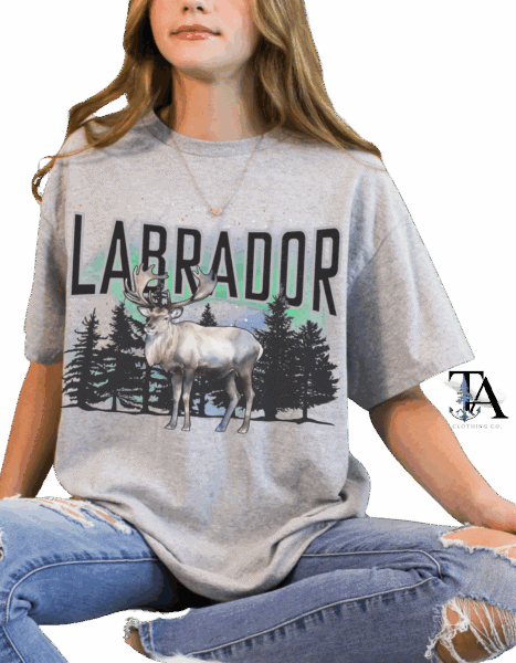 Labrador pride gift for Labrtadorians. Labrador design with Caribou and tree line featuring northern llights in the back. Grey Gildan cotton tshirt.