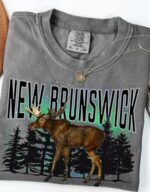 Provincial Wildlife Northern Lights Comfort Tee - Image 11