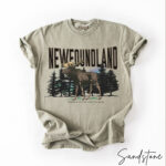 Custom Provincial Northern Lights Comfort Tee