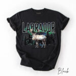Custom Provincial Northern Lights Comfort Tee - Image 11