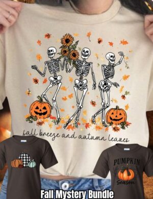 Pre-Order-Fall Gildan 3 Shirt Mystery Bundle
