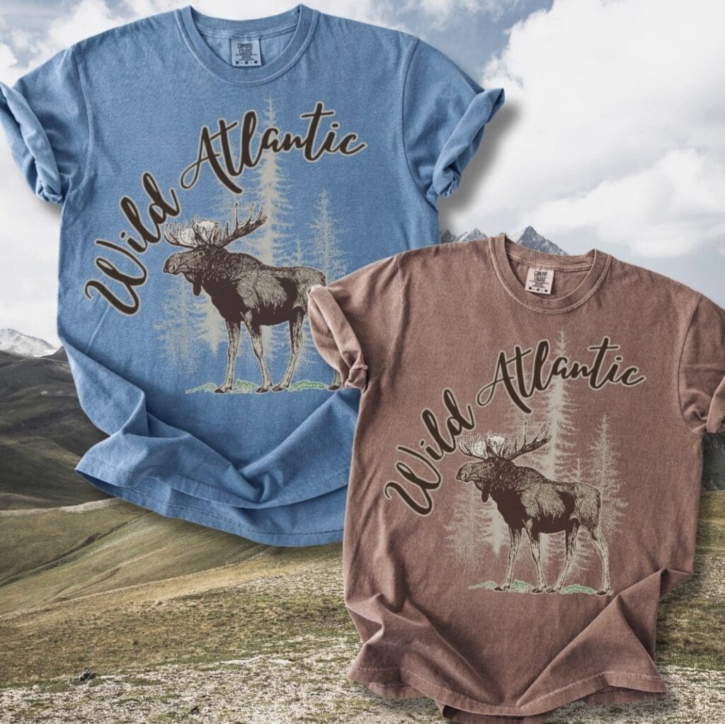 Big Game Comfort Tee
